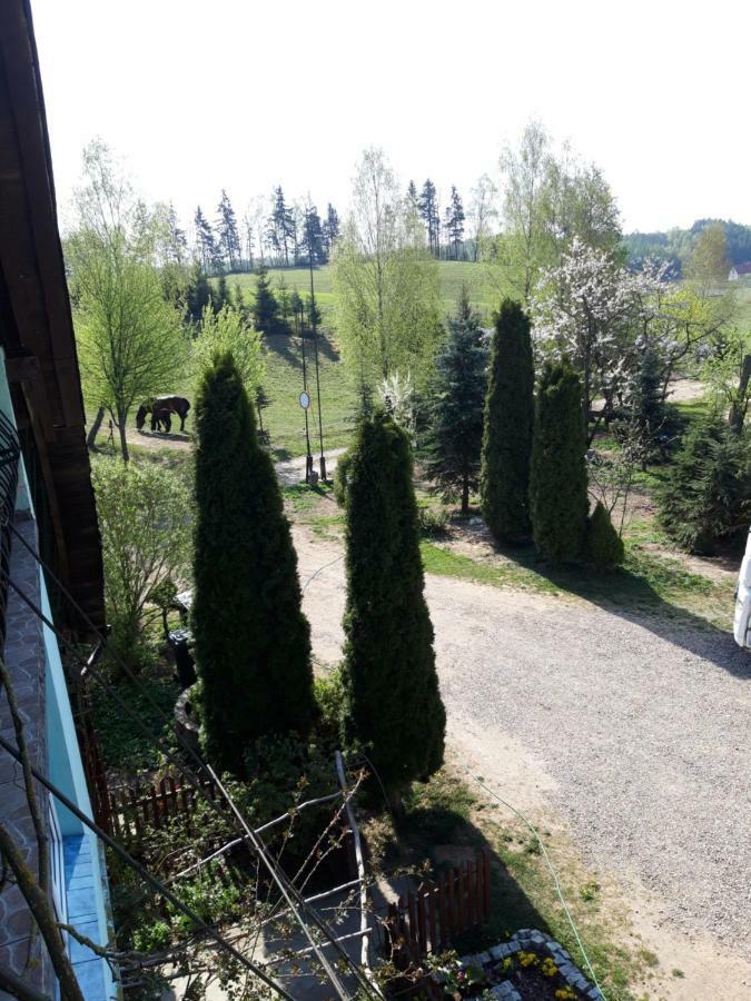 Agroturystyka Zielone Wzgorze Sikorzyno Bagian luar foto
